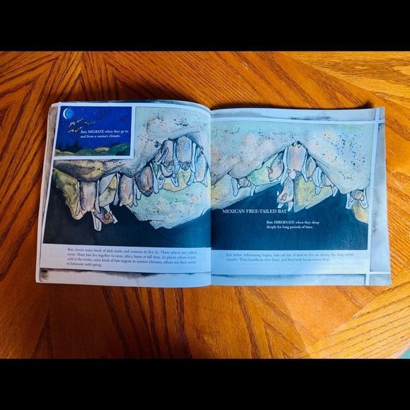 Bats 🦇 By Gail Gibbons - Picture 7 of 13